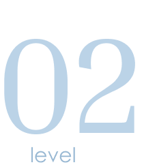 level 4