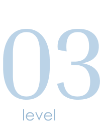 level 4